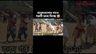 how possible cow dancing #sorts #sortvideo #viralshort #cow #dance #foryou #ai #edit #funny