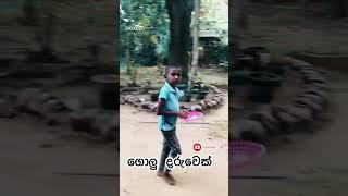 ගොලු දරුවා | #Attaraya #funny #short_feed #tiktok #viralvideo #comedy #srilanka #sinhala