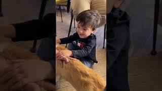 Που αλλού θα πηγαίναμε για το πρώτο πρωινό; Corgi Cafe Barcelona ️