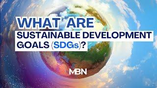 What are Sustainable Development Goals (SDGs)?