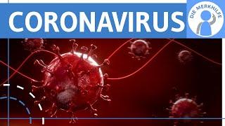 Coronavirus einfach erklärt - Definition, Merkmale, Symptome & Ansteckung Verbreitung - Hintergrund