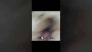 멈춘게 아니라 내려감.. 드헉 #조회수떡상 #추천추천추천추천추천추천추천추천추천추천
