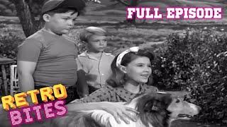 Lassie | Teamwork | Full Episode | Retro Bites