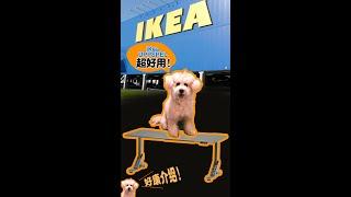 获 ikea UPPSPEL 电动桌一张