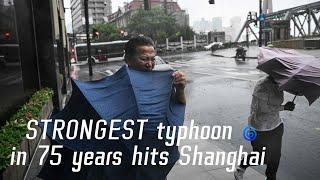 China's mega city of Shanghai hit by Typhoon Bebinca, the biggest storm in seven decades