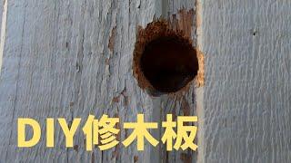 房子被鸟啄出个洞怎么办？DIY修理木板上的洞