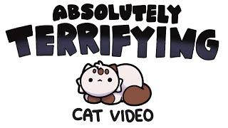 scary cat video