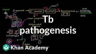 TB pathogenesis | Infectious diseases | NCLEX-RN | Khan Academy