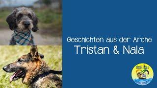  |GESCHICHTEN AUS DER ARCHE - Tristan & Nala| 