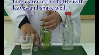 Photosynthesis Experiment | Pakistan Science  Club |