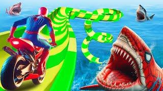 GTA 5 Crazy Ragdolls | Spiderman by Quad Bike On Rainbow Spiders Bridge (Spider Shark Jumps)