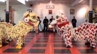 Chans kungfu Lion Dance 2016