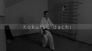 Kokutsu Dachi - Kyokushin Blue Belt 8th kyu stance