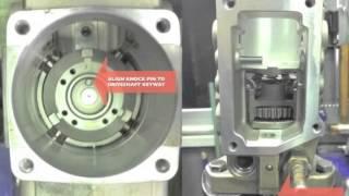 VE Pump Assembly