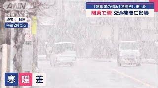 関東で雪　ピークはこれから 「寒暖差の悩み」聞きました【スーパーJチャンネル】(2025年3月3日)