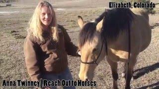 Reach Out to Horses Video Press Release | Horse Lifestyle TV