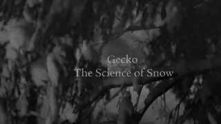 Beresford Hammond - Gecko - The Science of Snow