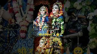 #kanhaiya #mohan #radhika