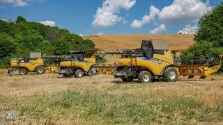 Žatva 2023 - 3x NEW HOLLAND (CR 9.90, 9.80, CX 8.90)