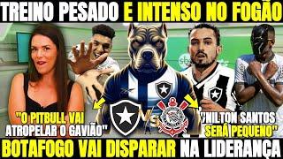 FERNANDINHA TROUXE A INFO PRIVILEGIADA! TREINO PESADO E INTENSO NO FOGÃO! NOTICIAS DO BOTAFOGO HOJE