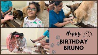 Bruno 2 saal ka ho gaya || birthday vlog || anita malik vlogs