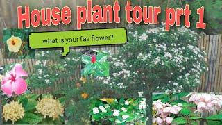 HOUSE PLANT TOUR + VARIETY OF INDOOR/OUTDOOR PLANTS by TEAM BRIANA