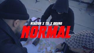 Ntalton x Tzi x Bruno - Normal (Official Music Video)