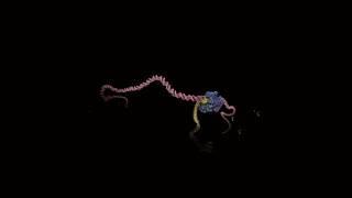 Heartbeats of Our Genome (a 360 degree stereoscopic animation)