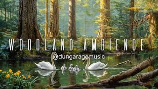 Woodland Ambience|| Study Music|| Overthinking||