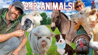 Meet All Our Animals-Morning Chores on the Farm!