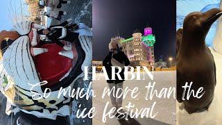 HARBIN: The MAGICAL, WINTER wonderland of China