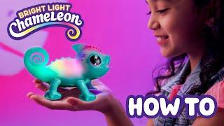 Little Live Pets | Bright Light Chameleon |How To Care and Play