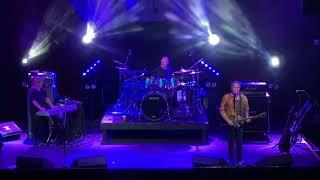 Zebra "Bears" (11/8/24 Charlotte, NC) 4K