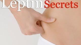 Leptin Resistance Diet Plan - Venus Factor Review