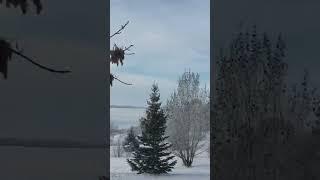 آرامش محض و دیگر هیچ#canada #canadalife #alberta #nature