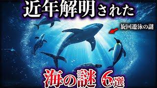 【ゆっくり解説】近年、解明された海の謎６選【Part3】