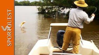 Delta Eco Lodge - A Hidden Gem for Dorado Fishing