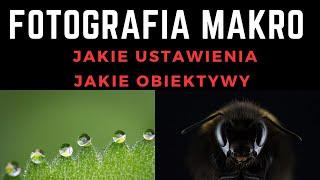 Fotografia Makro - Jakie Ustawienia, Jaki Sprzęt, Jakie Obiektywy #makro