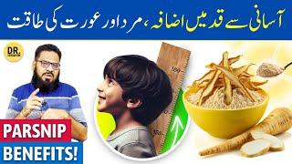 Shaqaqul Misri Ke Fayde/Istemal | Parsnip Root Uses/Benefits | Dr. Ibrahim