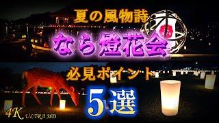 【奈良燈花会】絶対に外せない見所5選