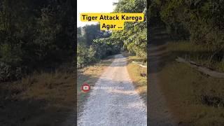 Tiger Attack Karega Agar - Jim Corbett National Park #shorts #jimcorbett #tiger