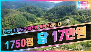 [토지 Ep25] 평당 17만원 시세보다 저렴한 청도 땅/토지 - 캠핑장 펜션 전원주택 부지, 과수원, 농장용 토지 매매