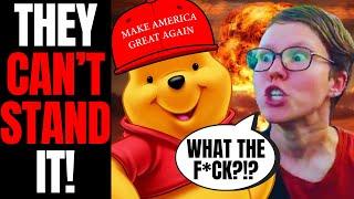 Woke Disney Fans MELTDOWN And Attack Winnie The Pooh Actor | They CAN'T STAND His Posts About Trump!