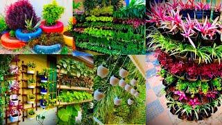 Amazing Garden Ideas For Home | Hanging Decoration Ideas | Indoor and outdoor Plants | Garden