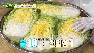 성공률100%! 김장용 ＜배추＞ 절이는 꿀팁 대방출 MBN 201108 방송