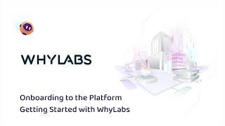 Getting Started with the WhyLabs Platform