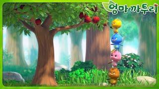 ️[엄마까투리2] 엄마 까투리 시즌2 전체 이야기 이어보기! | 엄마 까투리 연속보기️