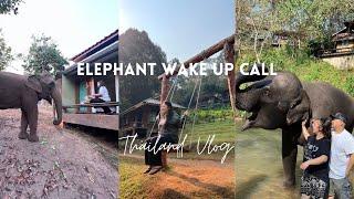 Thailand Vlog 2023 : Living Among the Elephants | My Tawan Riverside Elephant Resort Adventure