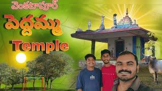 మా ఊరి పెద్దమ్మ గుడి వెంకటాపూర్ వెల్పూర్ Lokesh Bomma vlogs