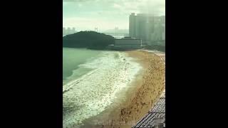 See how a tsunami comes for the ocean । #facts #totalfact #viral #shorts